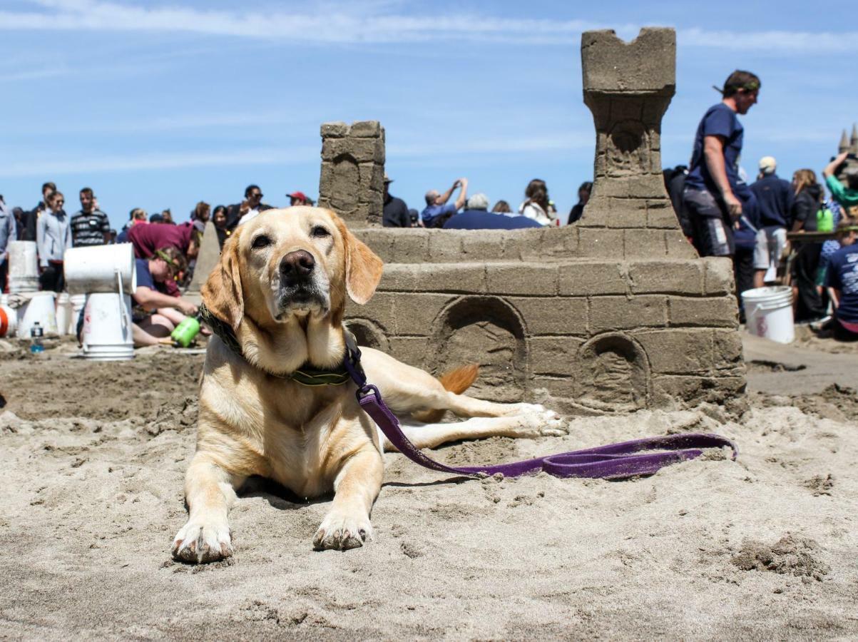 Beaches Inn | Herons Nest Loft Cannon Beach Eksteriør billede